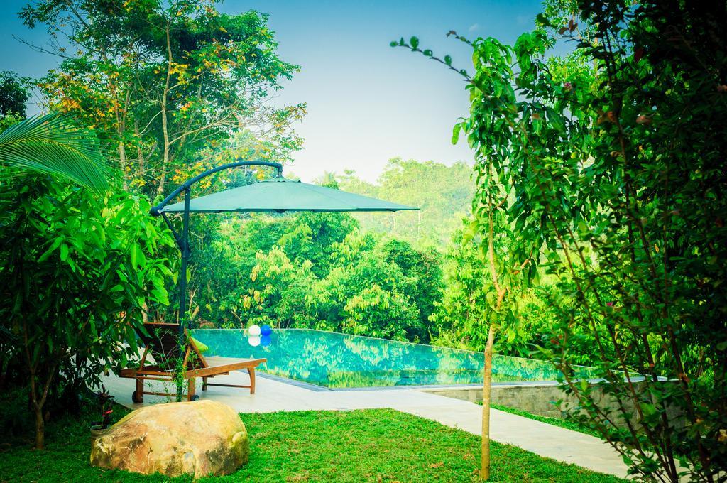 Hotel Garcinia Leaf à Hikkaduwa Extérieur photo